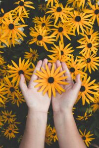 Psychology encompasses various branches, including clinical, cognitive, developmental, social, biopsychology, forensic, educational, industrial, health, personality, and emerging fields like comparative, positive, evolutionary, environmental, sports, business, and holistic. Each branch focuses on specific aspects of mind and behavior, from mental health to workplace effectiveness and societal well-being. Our expert support spans these areas, ensuring tailored, accurate, and professionally guided psychology assistance for coursework, assignments, research papers, and dissertations. We also offer support in legal contexts, educational settings, and organizational contexts.