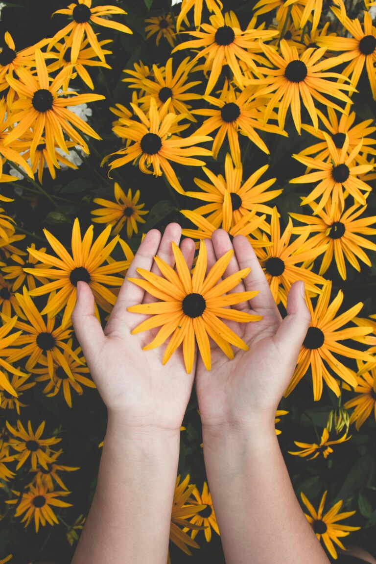 Psychology encompasses various branches, including clinical, cognitive, developmental, social, biopsychology, forensic, educational, industrial, health, personality, and emerging fields like comparative, positive, evolutionary, environmental, sports, business, and holistic. Each branch focuses on specific aspects of mind and behavior, from mental health to workplace effectiveness and societal well-being. Our expert support spans these areas, ensuring tailored, accurate, and professionally guided psychology assistance for coursework, assignments, research papers, and dissertations. We also offer support in legal contexts, educational settings, and organizational contexts.