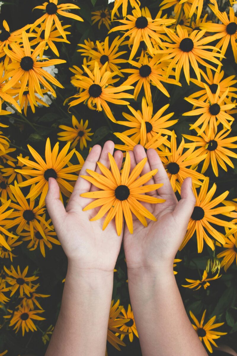Psychology encompasses various branches, including clinical, cognitive, developmental, social, biopsychology, forensic, educational, industrial, health, personality, and emerging fields like comparative, positive, evolutionary, environmental, sports, business, and holistic. Each branch focuses on specific aspects of mind and behavior, from mental health to workplace effectiveness and societal well-being. Our expert support spans these areas, ensuring tailored, accurate, and professionally guided psychology assistance for coursework, assignments, research papers, and dissertations. We also offer support in legal contexts, educational settings, and organizational contexts.